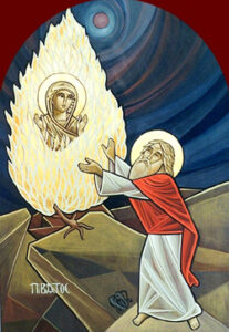 the_burning_bush-003